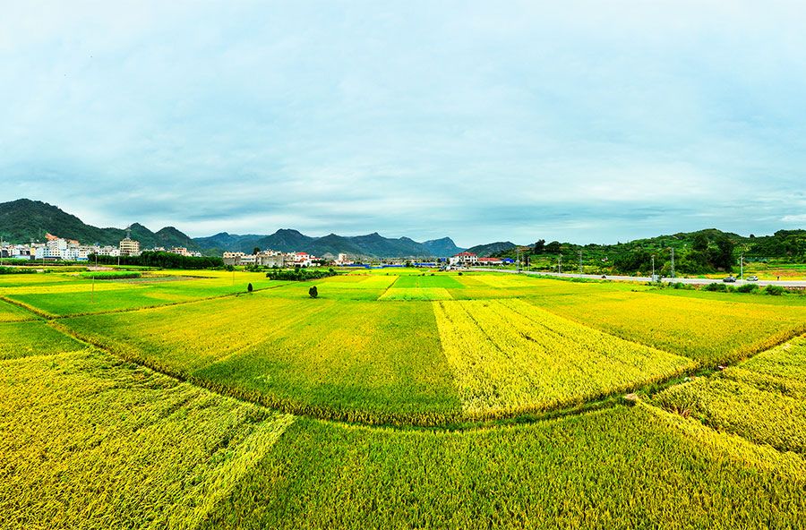 高清组图看秋日大片八闽处处好丰景