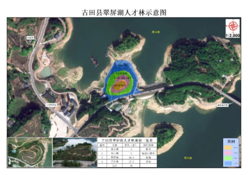 宁德古田:全市首个"人才林"成立