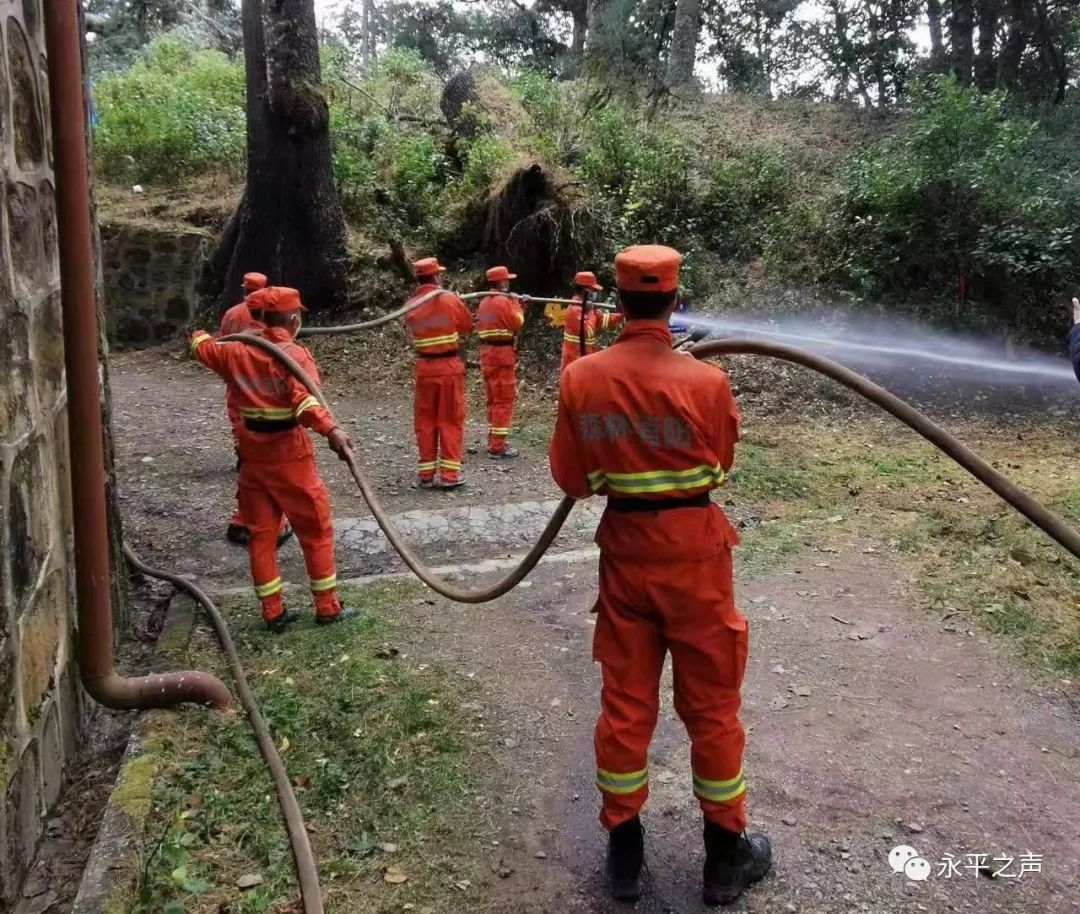 嚴防死守築牢大理永平金光寺省級自然保護區森林防火安全網