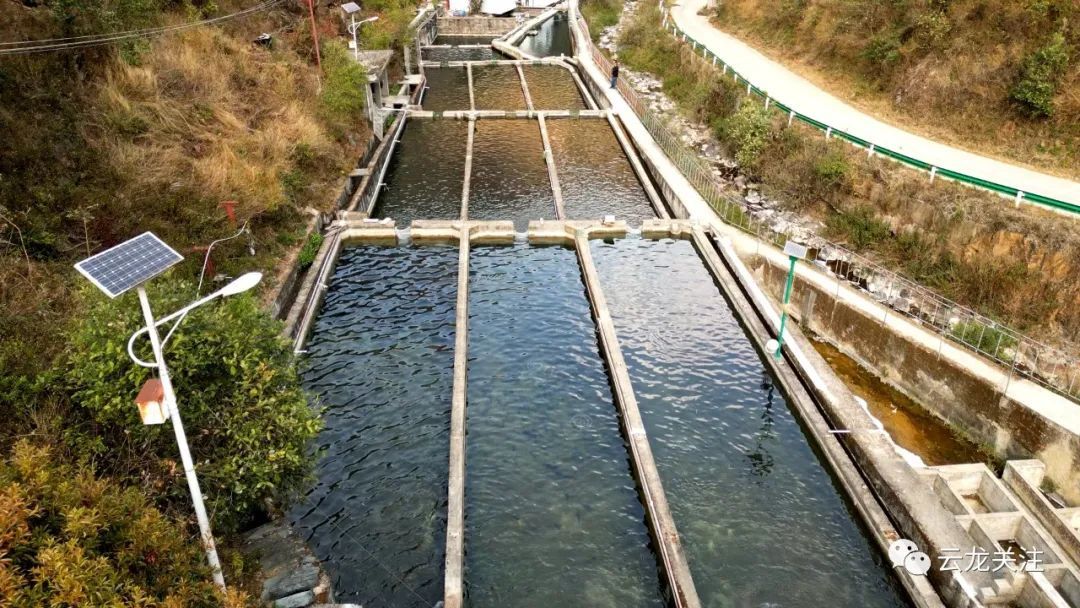 大理云龙县漕涧镇全力打造全县绿色养殖重点区