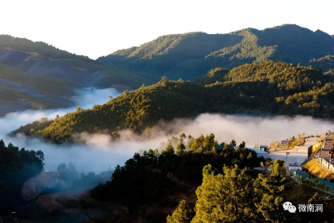 大理南涧山养人建设绿色茶区农旅融合示范县之四