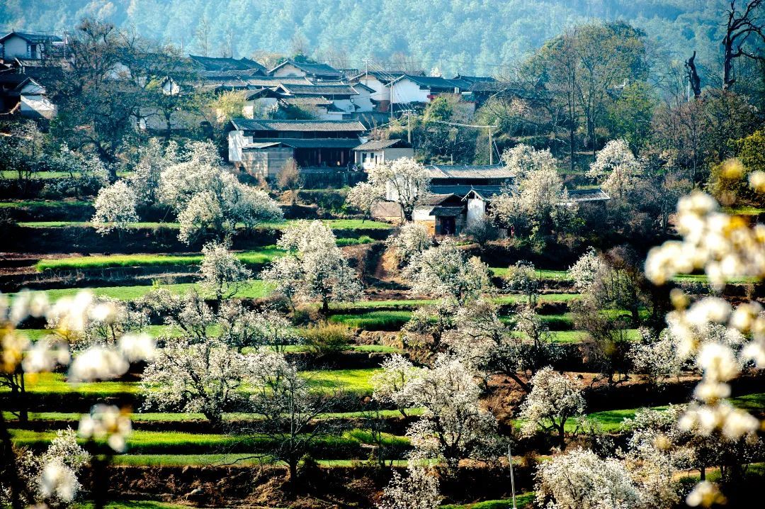 鹤庆奇峰村图片