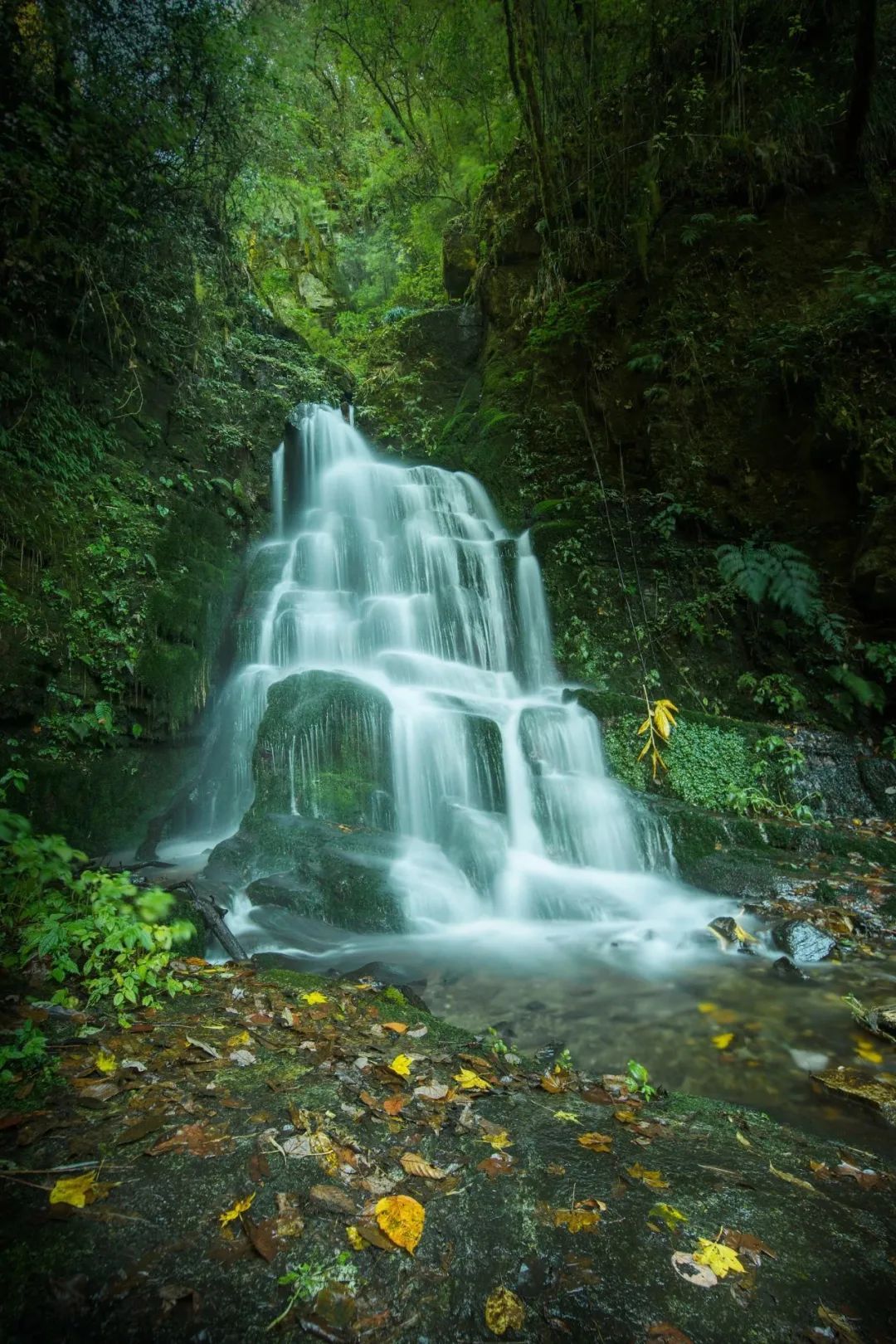 美丽图片风景 微信图片