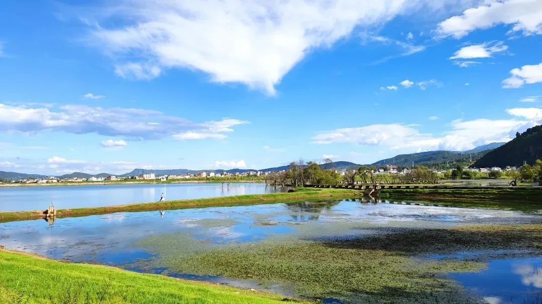 鹤庆黄龙潭风景区图片图片