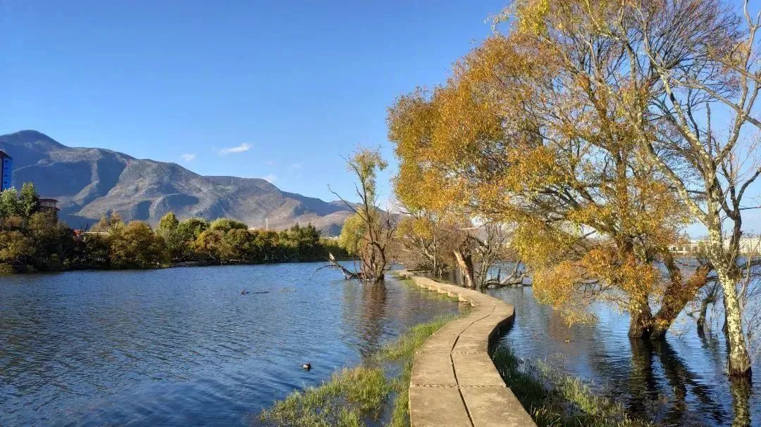 大理鹤庆黄龙潭的景色图片