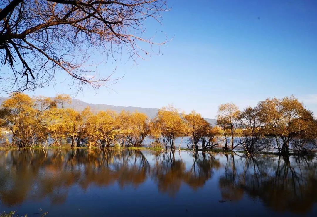 鹤庆黄龙潭风景区图片图片