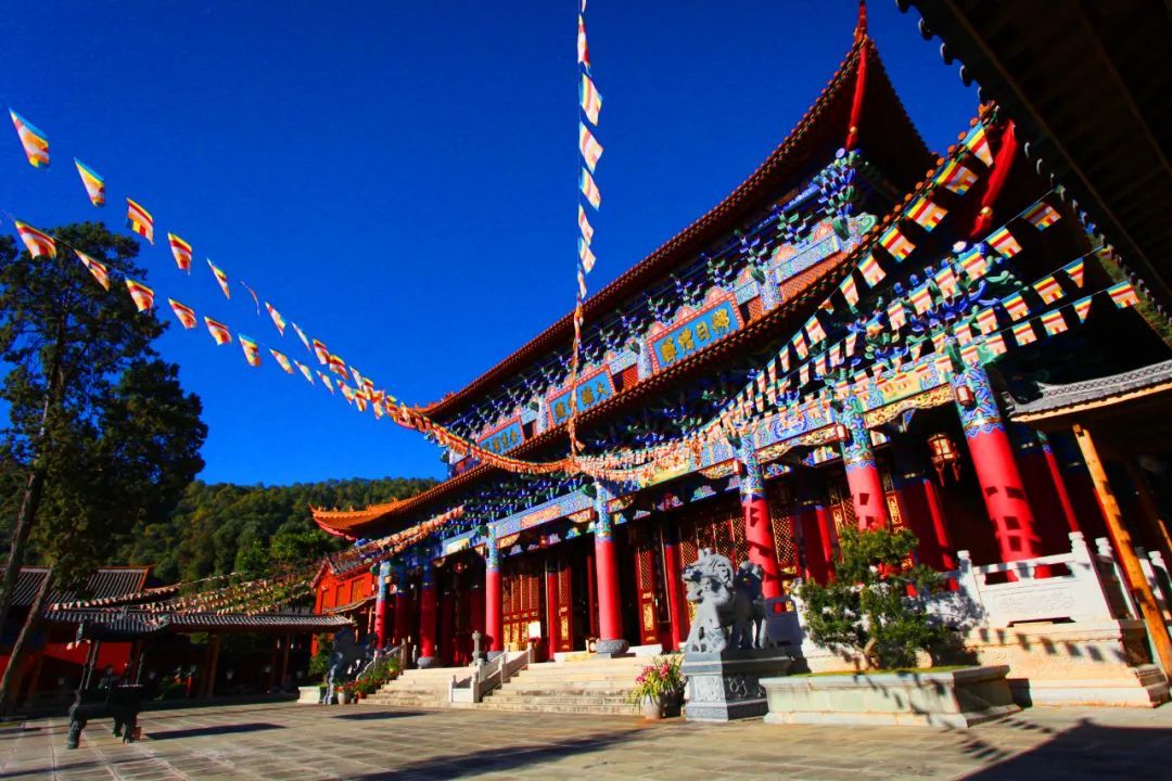 当前位置:关注森林>地方林草动态>云南>正文鸡足山旅游线路推荐线路1