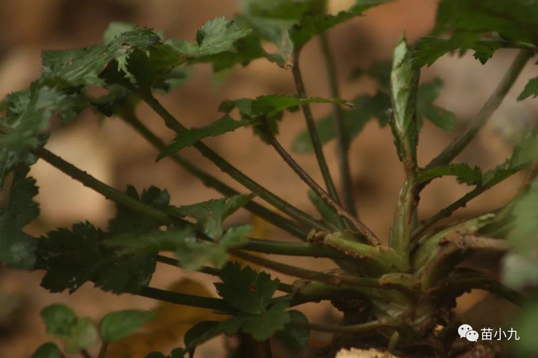 山西的财经学院_山西财经网官网_山西财经大学官方抖音