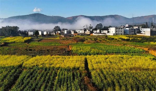 厚植绿美底色绘就云南乡村兴