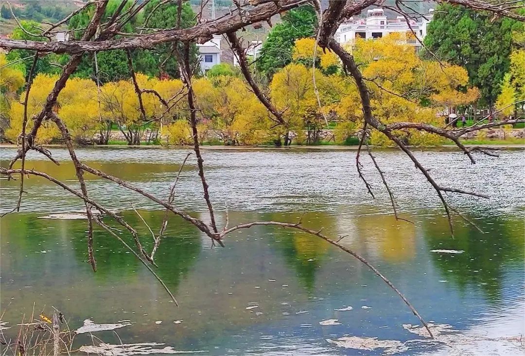 鹤庆黄龙潭风景区图片图片