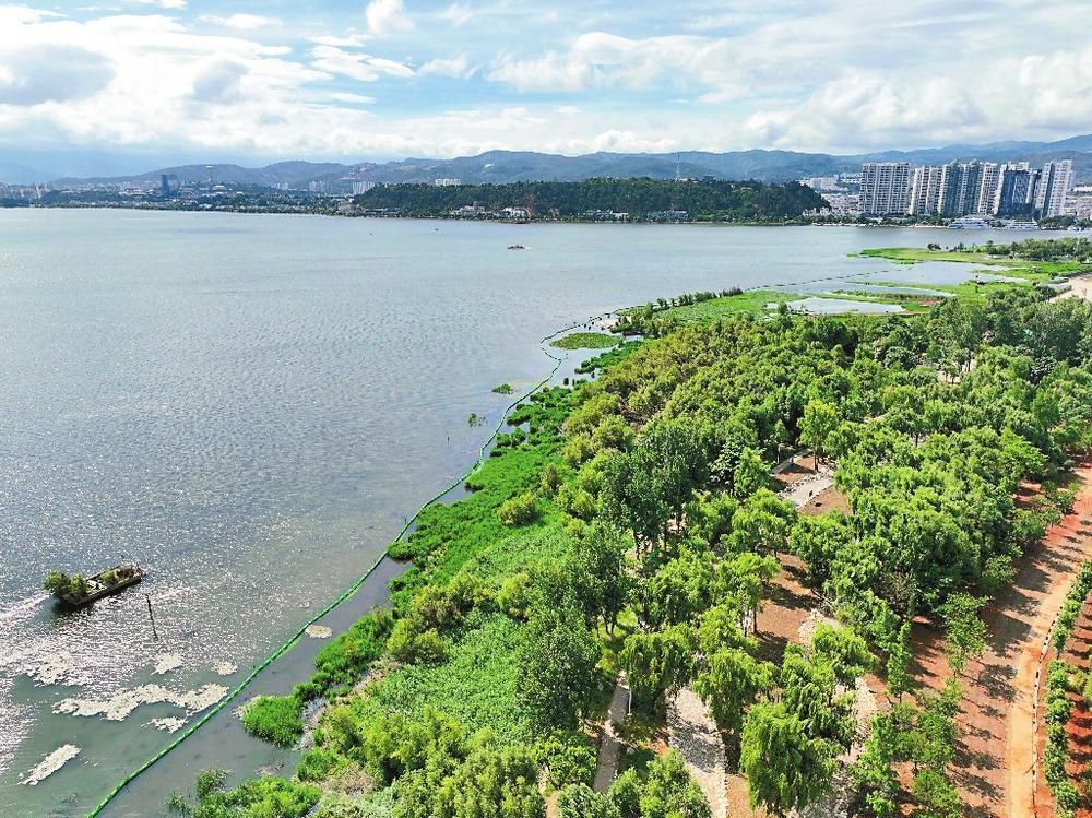 洱海南部湖滨生态廊道保护修复初见成效