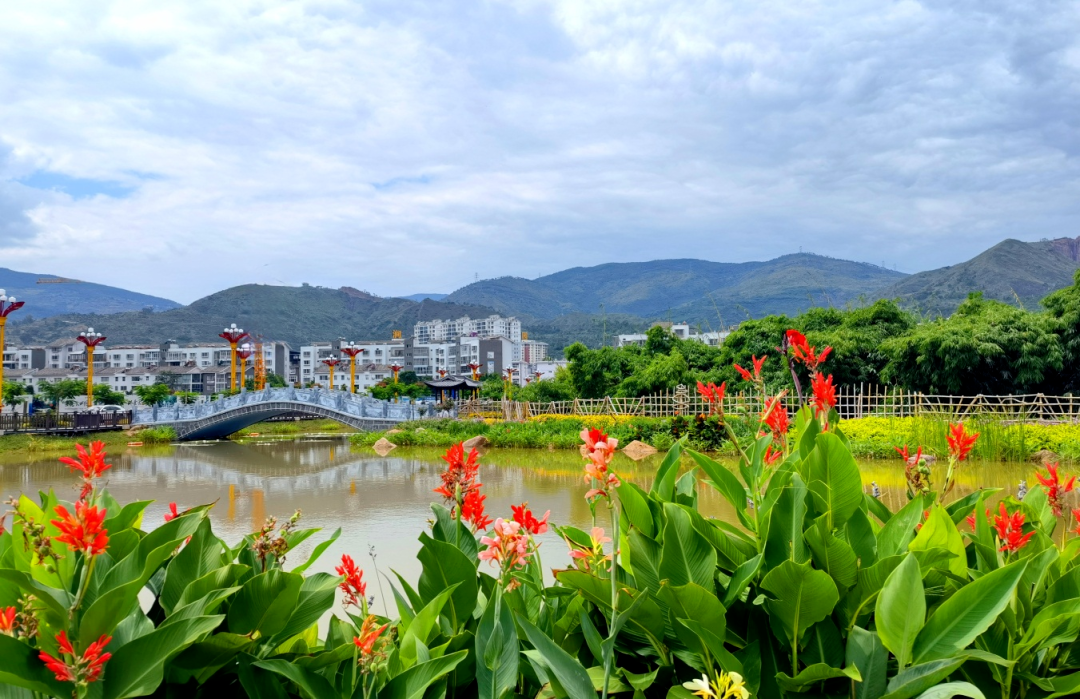 喜讯南涧县绿美城市建设成为绿美云南建设典型经验之一