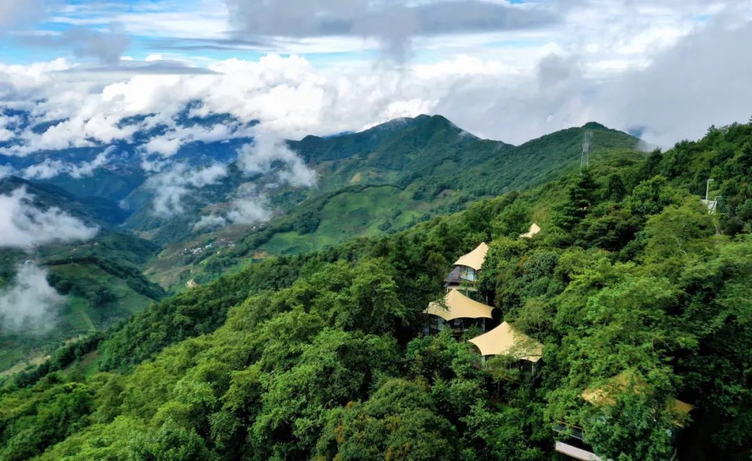 无量山野奢帐篷营地野睡在国家级天然氧吧里