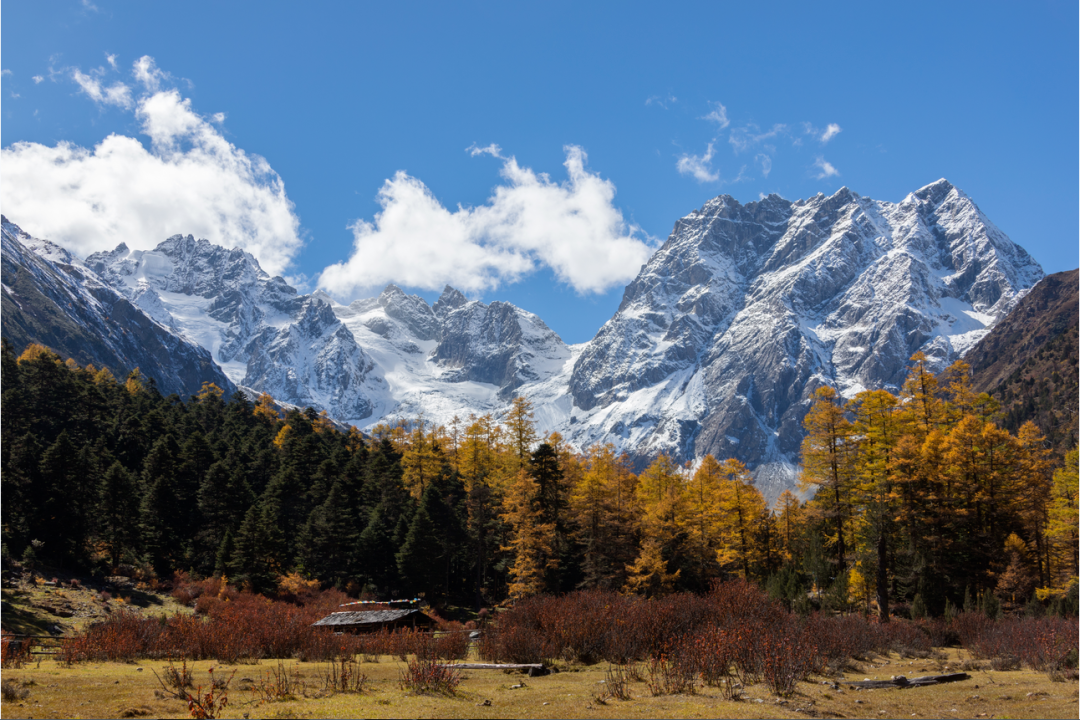 自然保护地云南白马雪山国家级自然保护区