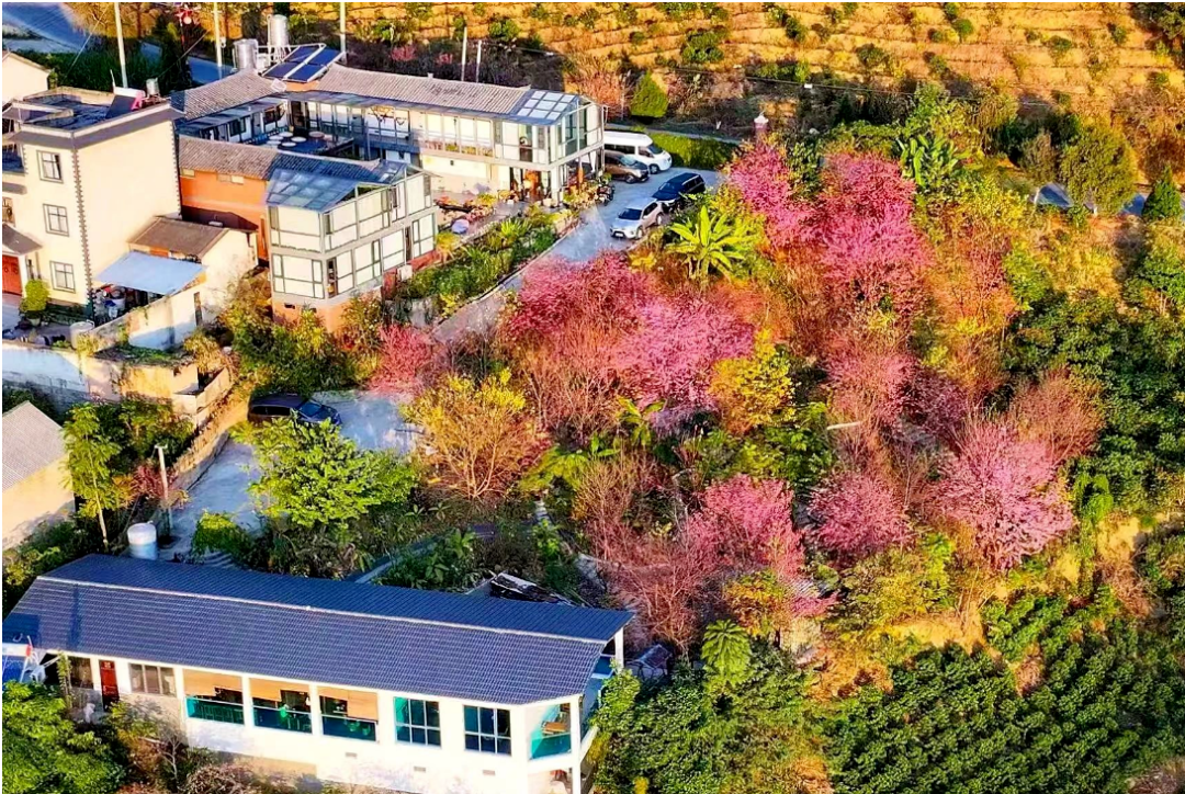 保山市:百花岭村生态保护与经济发展双赢