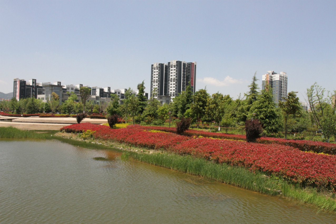 四季花海马龙:全年花常开 四季绿常在