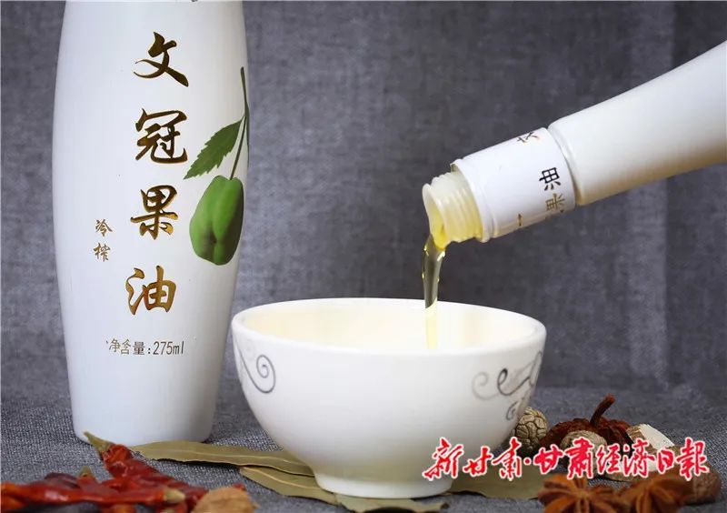 靖远小小文冠果致富摇钱树