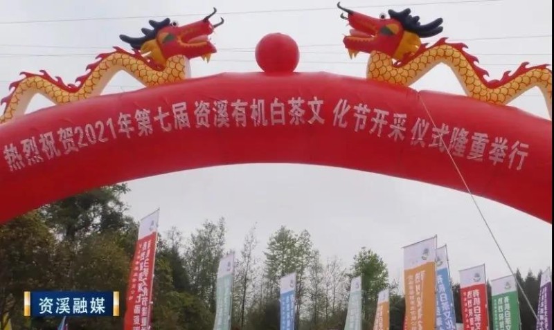 2021年第七届资溪有机白茶文化节开幕