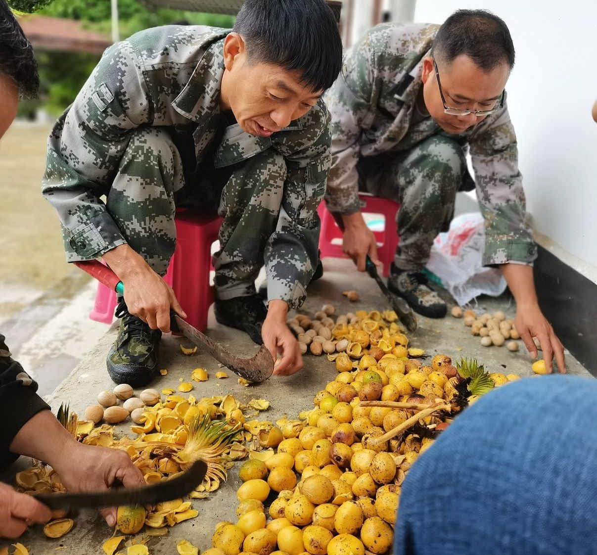 云南马关首富图片