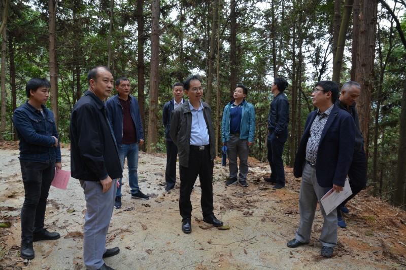 福建省林业局副局长林旭东一行到建瓯市开展深化林改工作调研