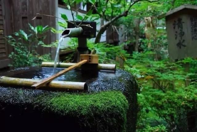 洞察人性的十二句话