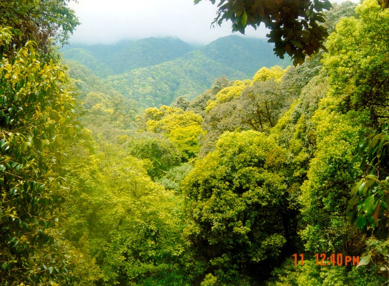 永平县宝台山图片