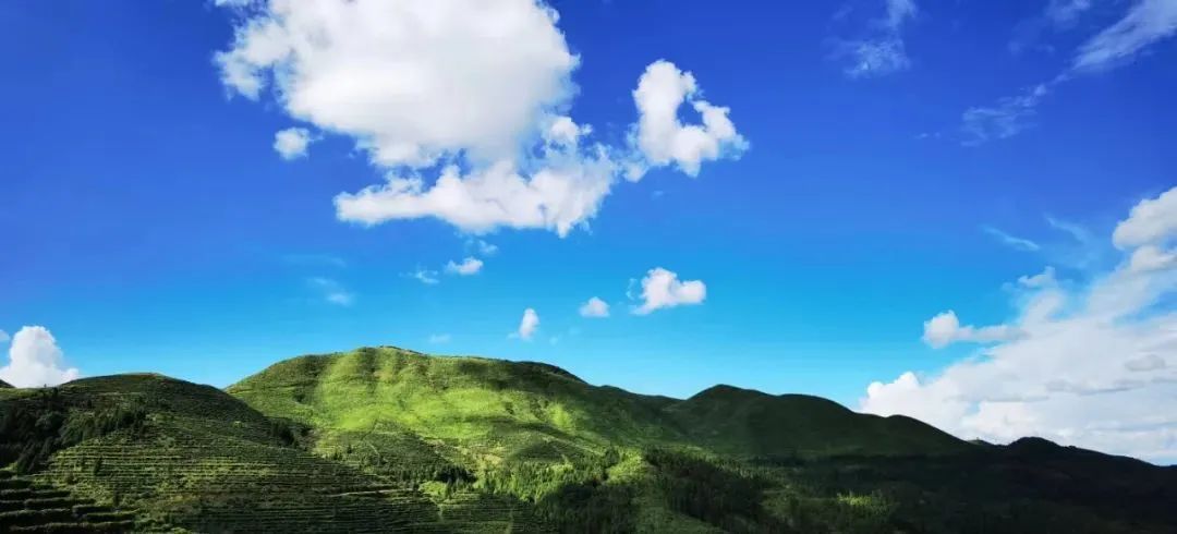 全国首届"鸟王山"杯生态旅游摄影大赛来了