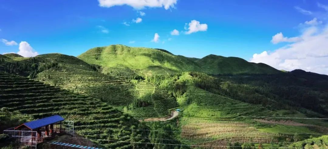 全国首届"鸟王山"杯生态旅游摄影大赛来了