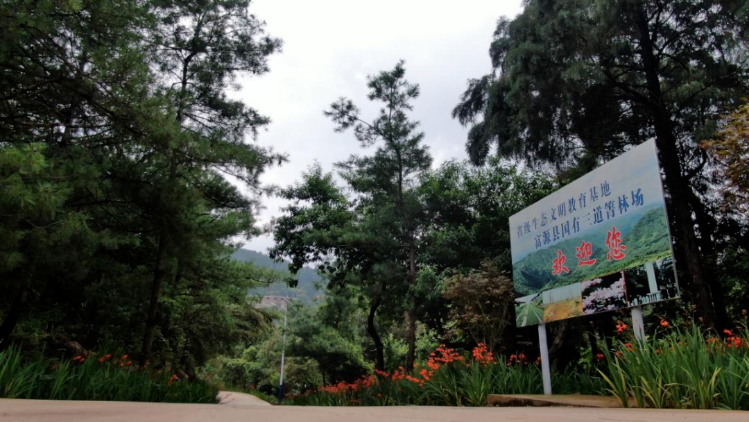 国有林场 | 富源县国有三道箐林场 - 关注森林