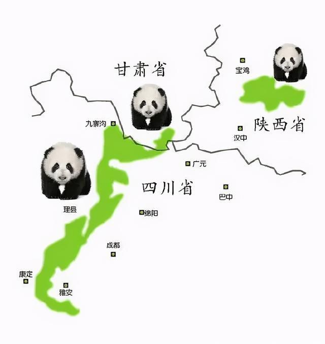 秦岭大熊猫分布图图片