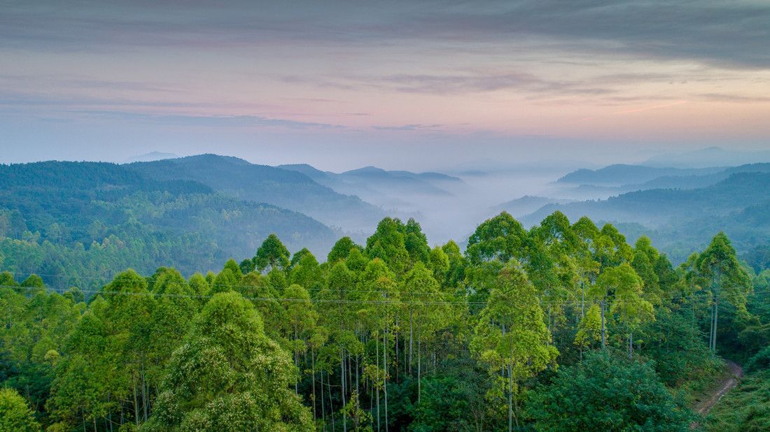 成都风景区龙泉山图片