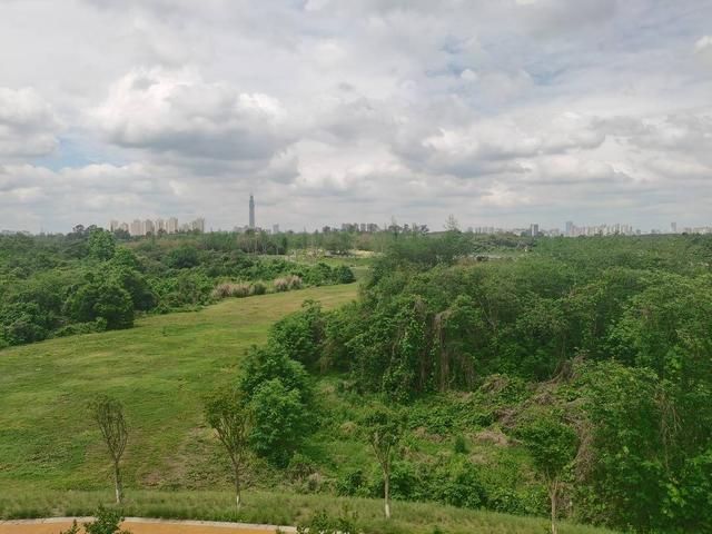 探访成都环城生态区既做农也做旅市民在田野中感悟天府粮仓新场景