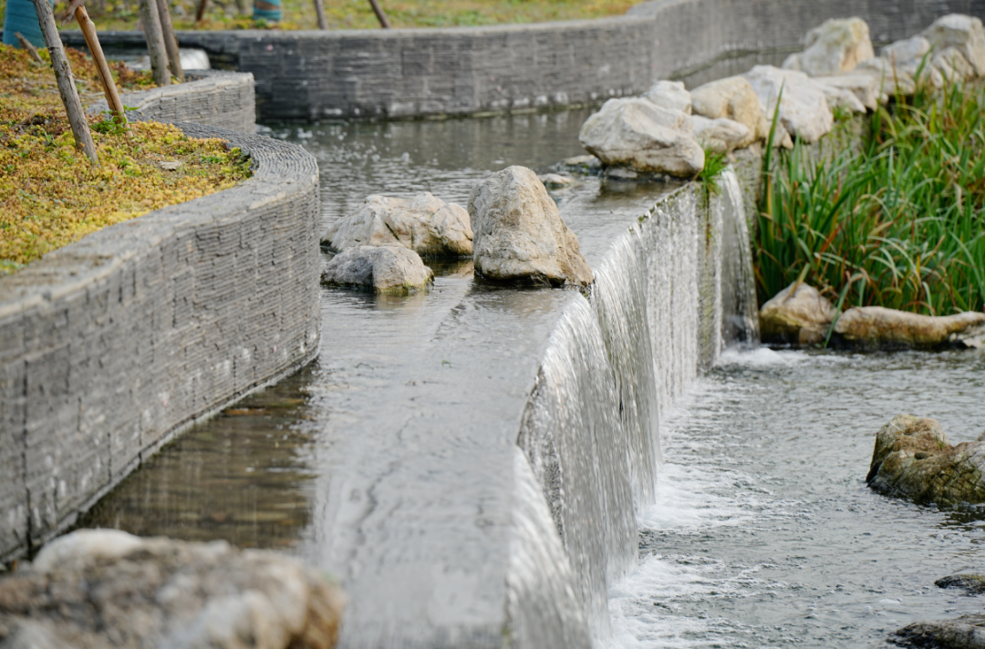 成都最大垂直流人工湿地公园正式开放