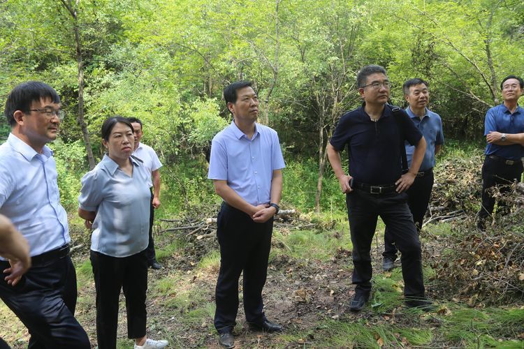 郭青俊和国家林草局气候处处长张国斌一行来旬调研林业碳汇工作和森林