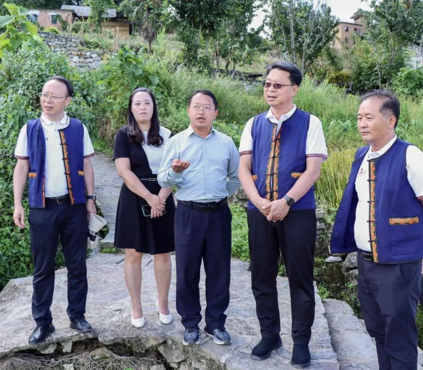 关注森林>地方林草动态>云南>正文赵瑞君(右二)在元阳县新街镇调研