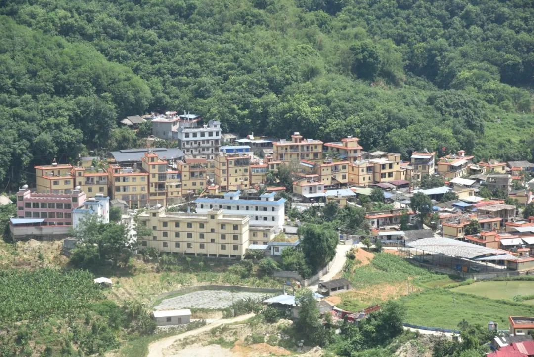 勐拉镇:凝聚民族团结向心力,共绘乡村振兴新画卷