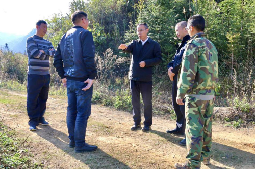 蒙自市副市长杨云鸿到乡镇督查森林防火,疫情防控