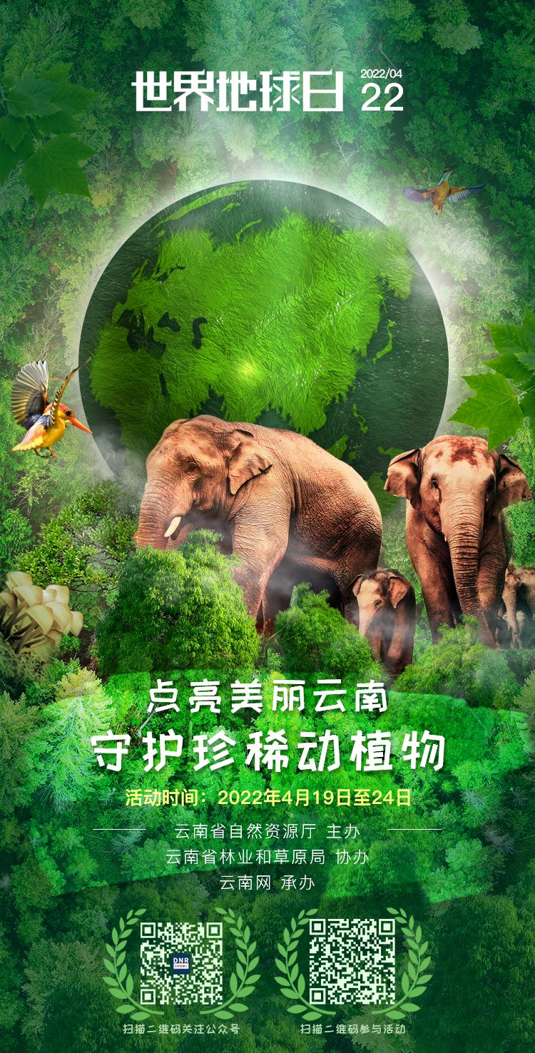 云南  守护珍稀动植物"活动正式上线,让你我携手,尊重自然,保护珍稀动