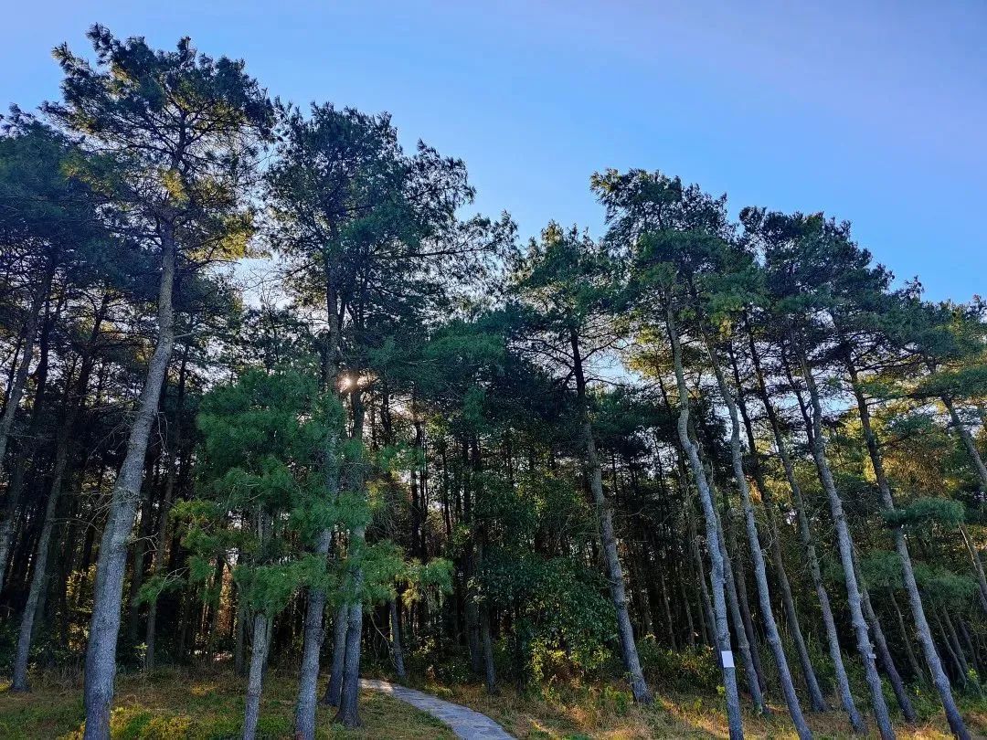 "的戈贾森林公园出门就是花漫四季的金湖生活在山水相依的个旧http