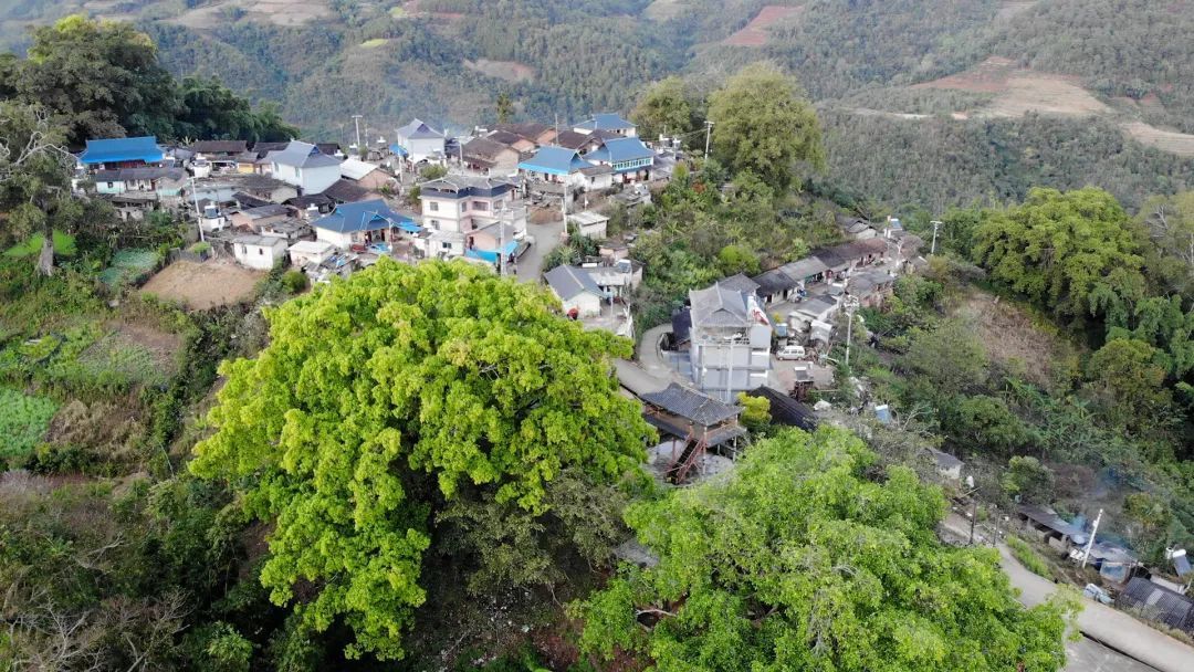 云南普洱市思茅区绘就人与自然和谐共生画卷