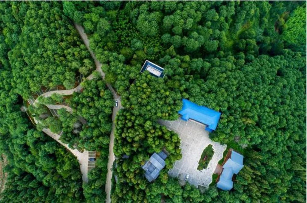 个旧戈贾森林公园 潘泉 摄