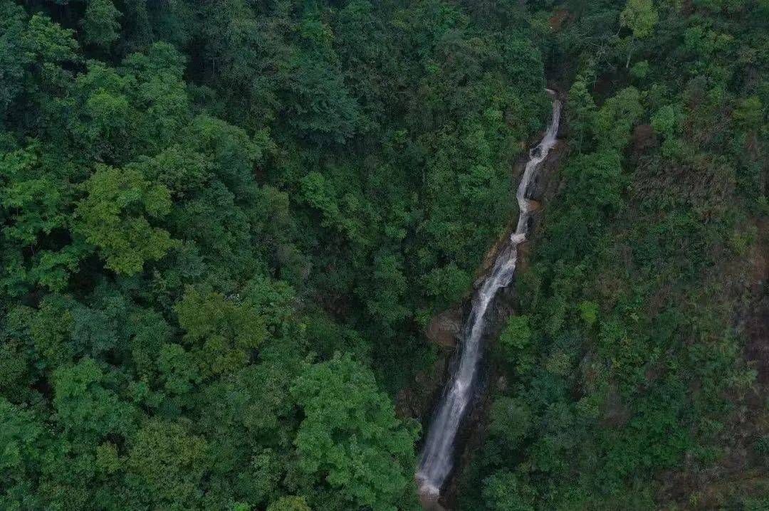 乐享云南美景74五老山国家森林公园