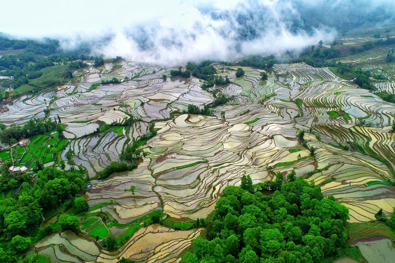 红河哈尼梯田申遗成功十周年新家园新生活新未来听哈尼梯田传来四季