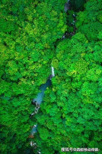 云南巧家加强森林资源监管筑牢生态安全屏障