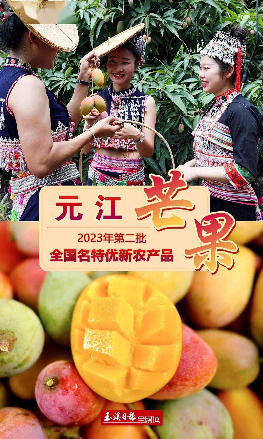 国字号元江芒果入选全国名特优新农产品名录