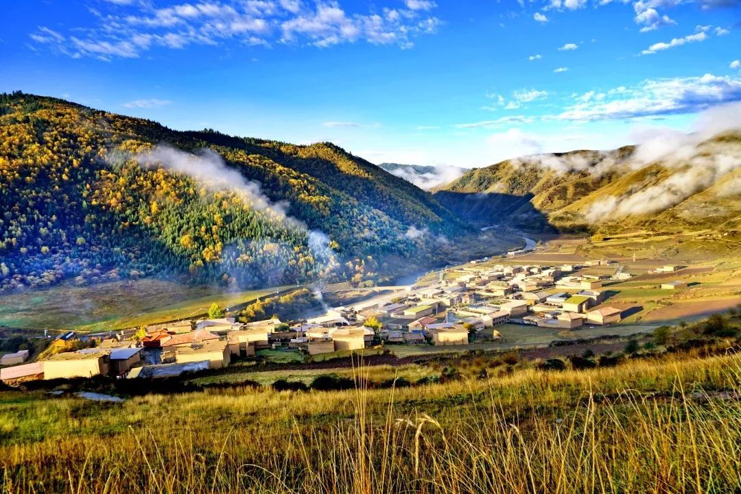 碧水青草映蓝天生态阿坝绘新景阿坝县推进生态保护与高质量发展纪实