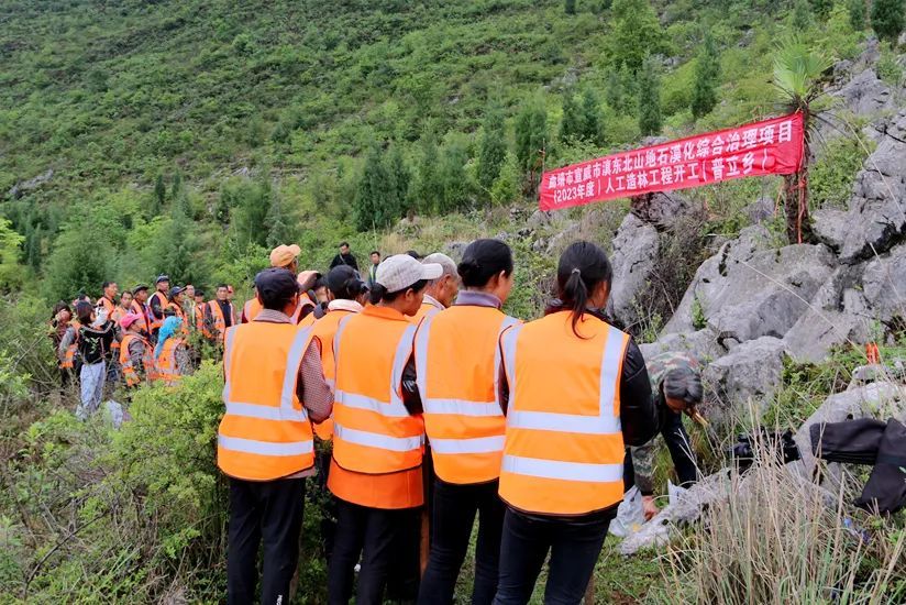 宣威市滇东北山地石漠化综合治理项目(2023年度)人工造林工程在普立乡
