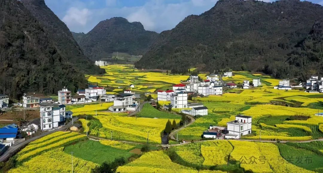 农民增收一口清 基层治理一网兜 绿美建设一直抓丨马关县农村生活污水