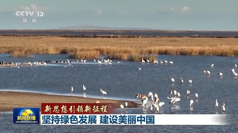 不断厚植高质量发展的绿色底色美丽中国亮出绿色新名片