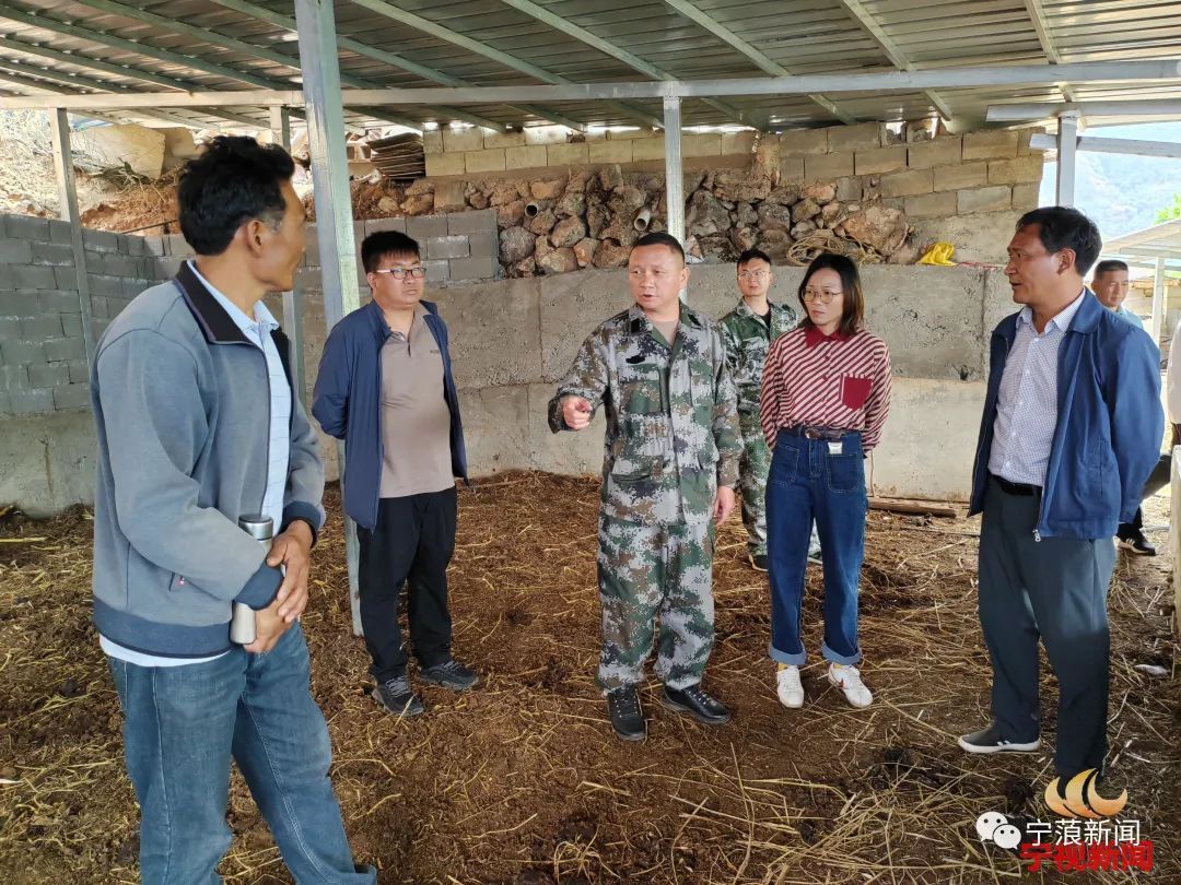 全面加强宣传动员 打好全民参与的运动战-宁蒗县林草局-关注森林网